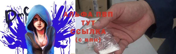 mdpv Богданович